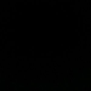 Meet your Posher, Danaya